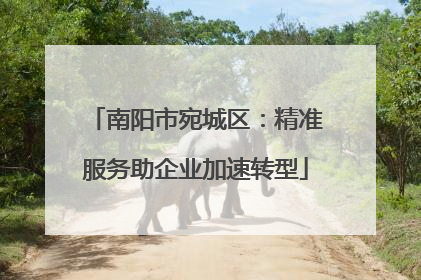 南阳市宛城区：精准服务助企业加速转型